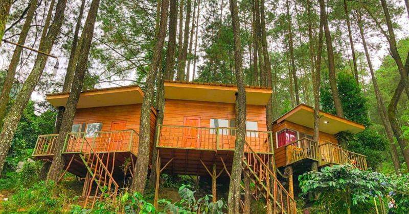 Tiket.com/Kampung Rimba Camp